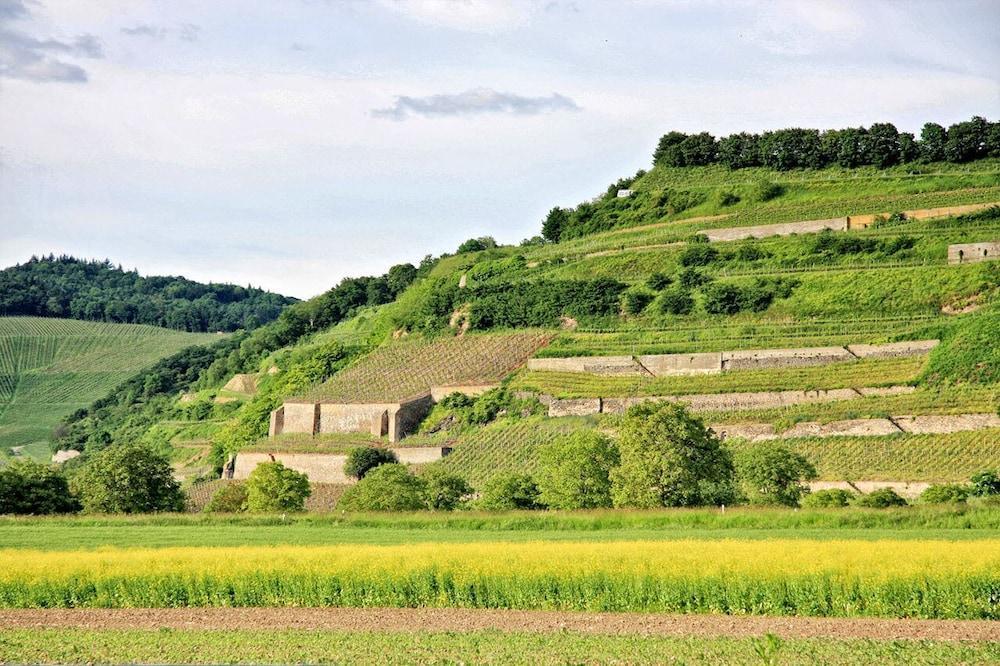Hotel Winzerstube Ihringen Bagian luar foto
